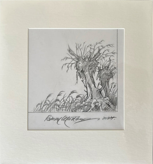 Detail from Here Be Dragons - Trees