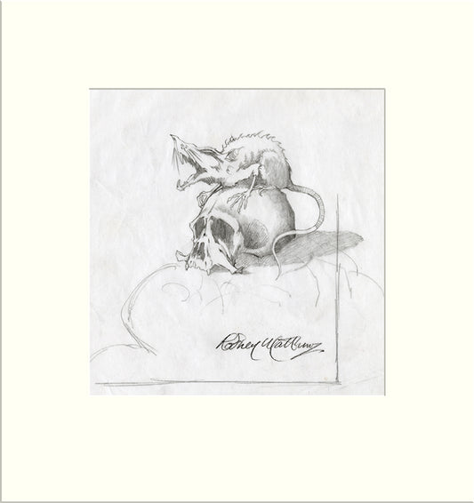 Detail from No Mean City: Rat on Skull (Nazareth) original pencil sketch by Rodney Matthews