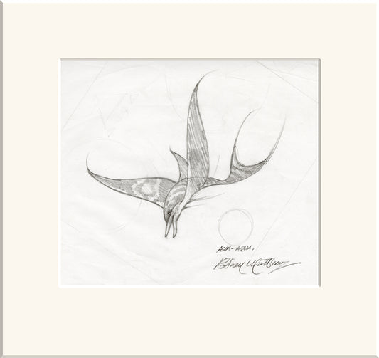 Dolphin Study for Aqua (Asia) original pencil sketch by Rodney Matthews