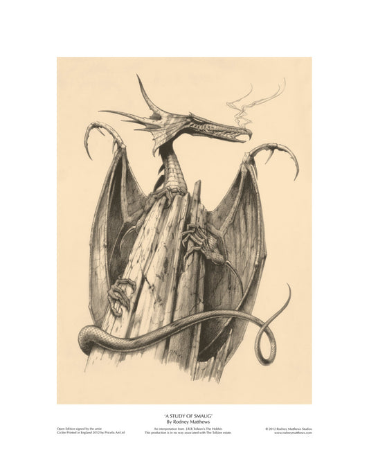 A Study of Smaug open edition print by Rodney Matthews | Rodney Matthews Studios